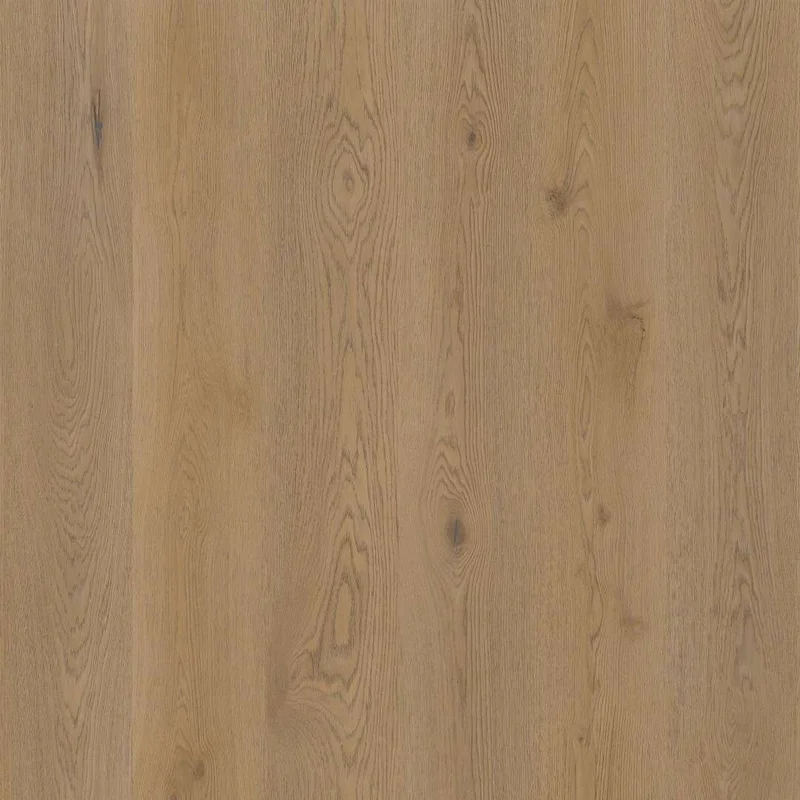 hellofloor202609201342432979634