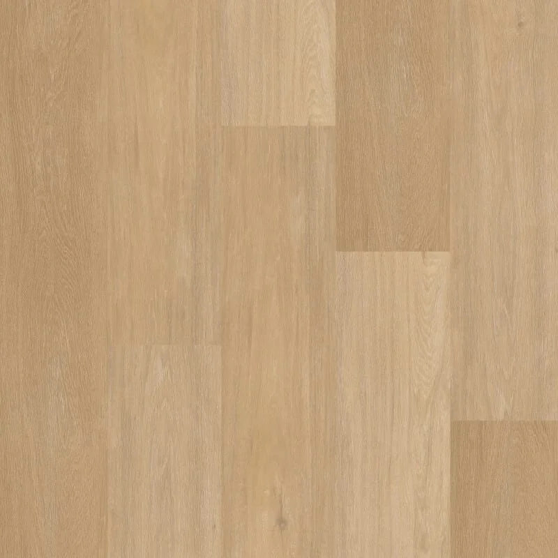hellofloor202609201345502980136