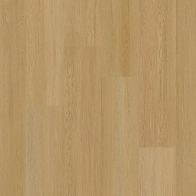 hellofloor202609201352552981290