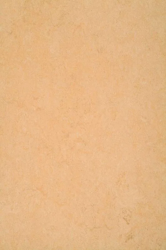 hellofloor202609201356522981968