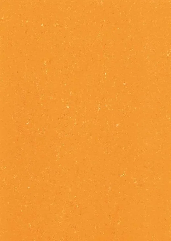 hellofloor202609201358412982260