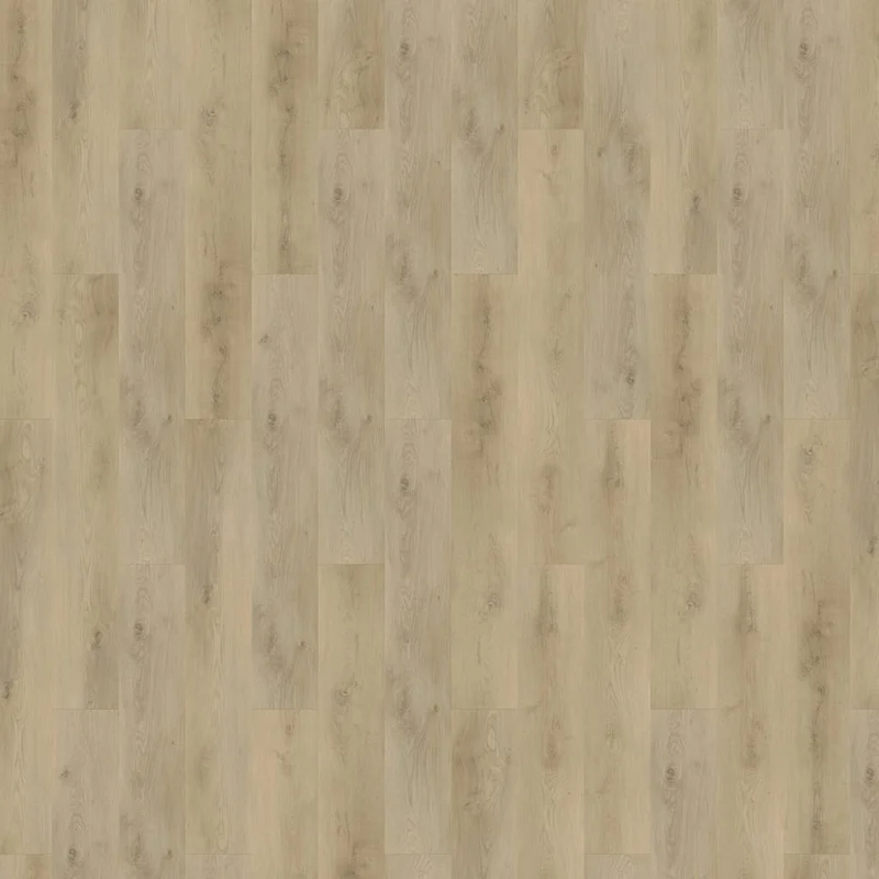 hellofloor202609201359522982440