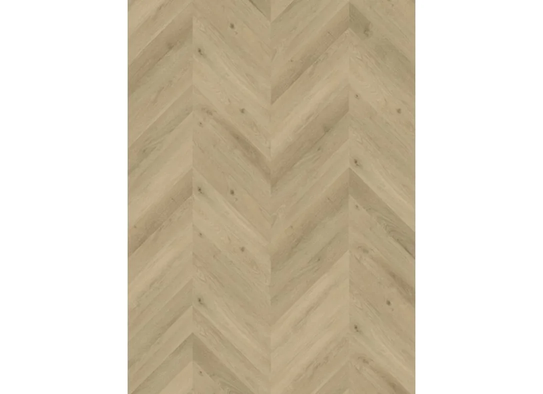 hellofloor202609201424572986624