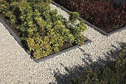 kooymanbv202609201124232957740